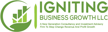 IGNITING BUSINESS GROWTH LLC